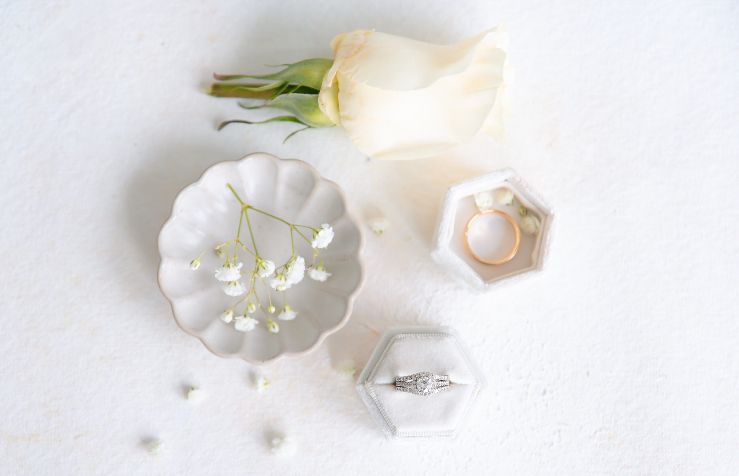 Allison OneyPhotography 2 2 Scaled