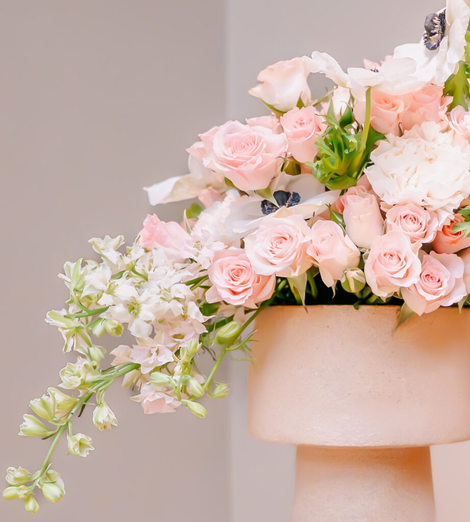 allison oneyphotography 3